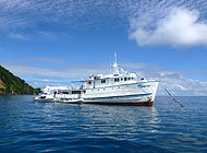 Tauchsafaris Cocos Island mit der Sea Hunter